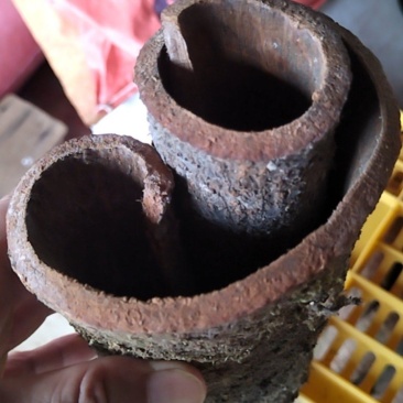 桂皮