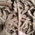 深山精品黑灵芝片