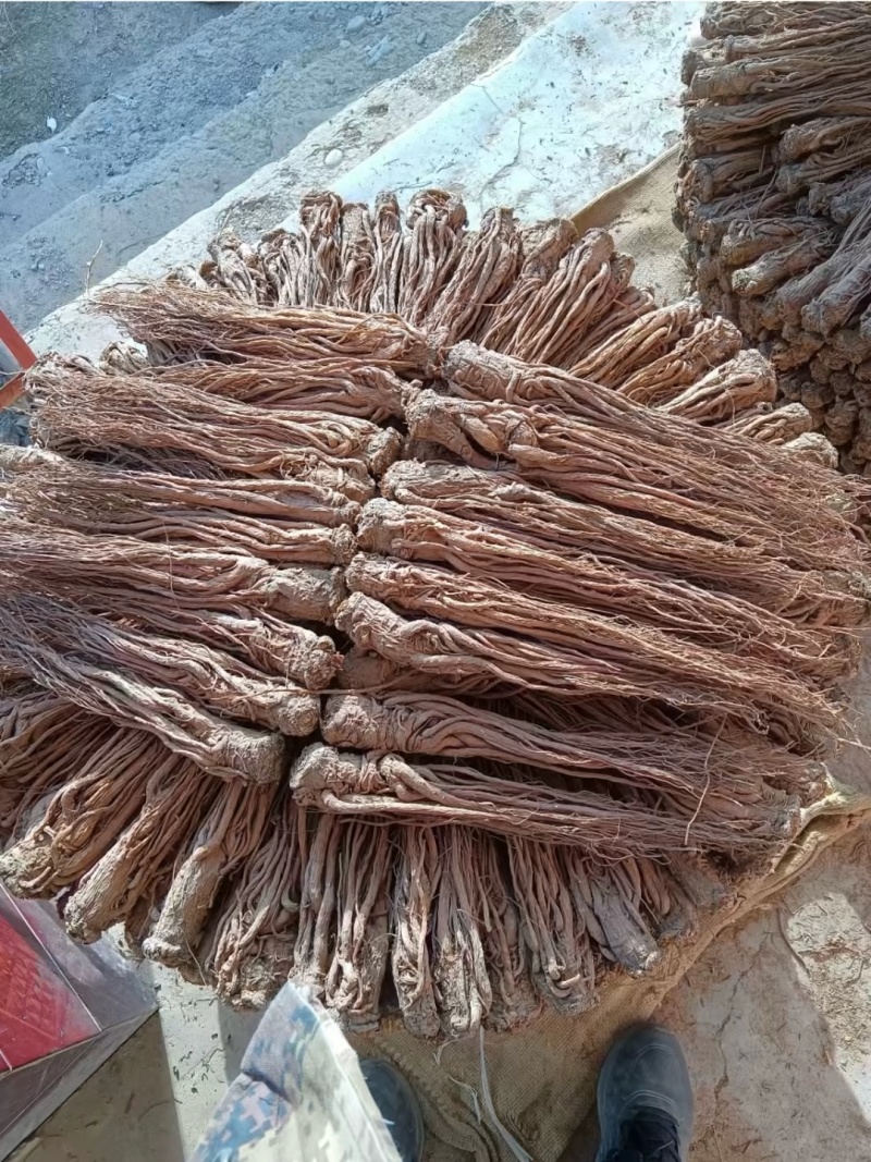 甘肃岷县特级无硫全当归片农家散装药食同源泡水煲汤量大优惠