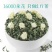 【特级古茶人茉莉飘雪】正宗茉莉花茶2026新货