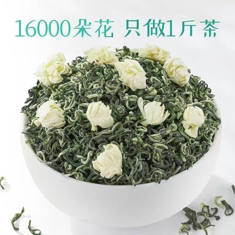 【特级古茶人茉莉飘雪】正宗茉莉花茶2026新货