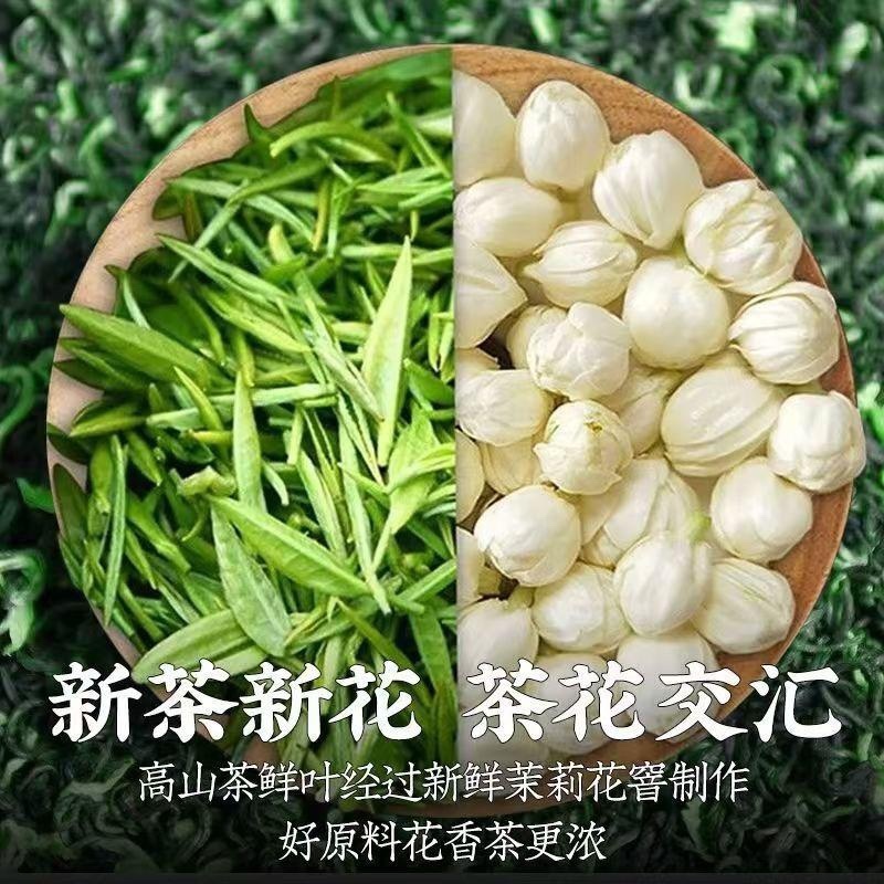 【特级古茶人茉莉飘雪】正宗茉莉花茶2026新货