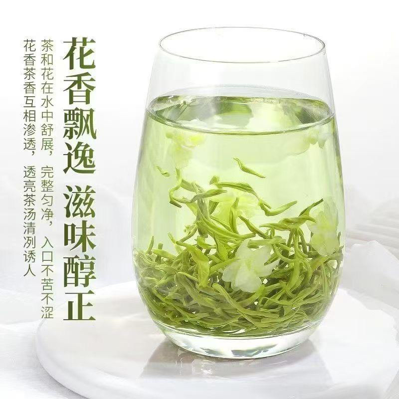 【特级古茶人茉莉飘雪】正宗茉莉花茶2026新货