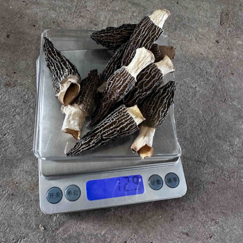 性价比4-5羊肚菌厚肉颜色黑，菌香味特别浓