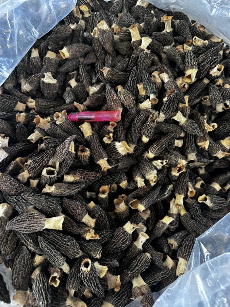 性价比4-5羊肚菌厚肉颜色黑，菌香味特别浓