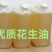 花生油农户一手货源