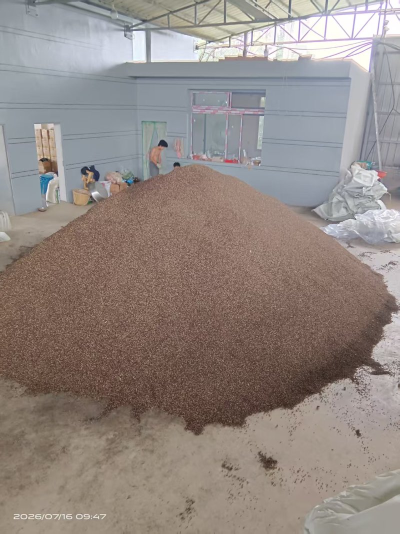 干红花椒需要哩老板联系