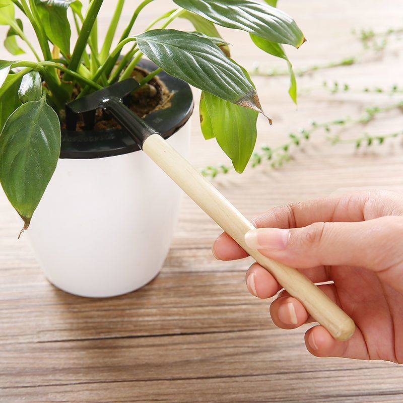 加厚型园艺工具三件套种花挖土铲子种菜铲锄耙小盆栽多肉种植
