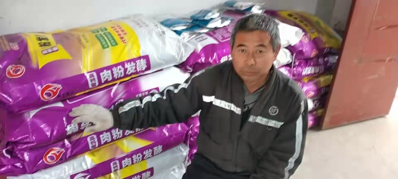 高钙肉粉发酵微生物菌肥有机质50高活性菌