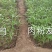 高钙肉粉发酵微生物菌肥有机质50高活性菌