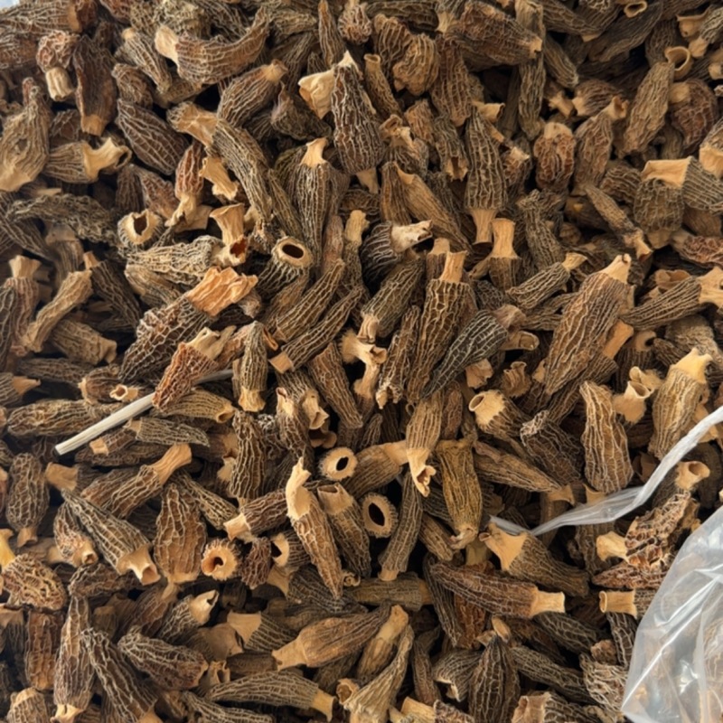 羊肚菌3-5*后一包特价先到先得