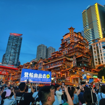 莲花，水果莲蓬