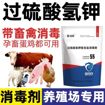 消毒剂55%过硫酸氢钾消毒剂鸡舍牛圈羊舍猪圈消毒养殖场