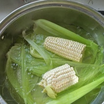 农科336玉米刚成熟一批有需要的老板吗