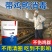消毒剂55%过硫酸氢钾消毒剂鸡舍牛圈羊舍猪圈消毒养殖场