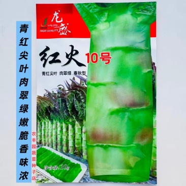 红火10号莴笋种子青红尖叶肉翠绿嫩脆香味浓莴笋种子春秋型