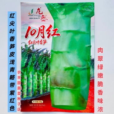 10月红莴笋种子红尖叶香笋种子肉翠绿嫩脆香味浓莴笋种子