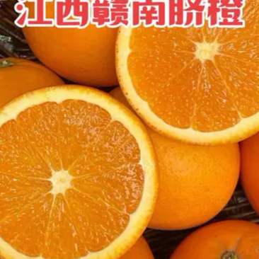 赣南脐橙