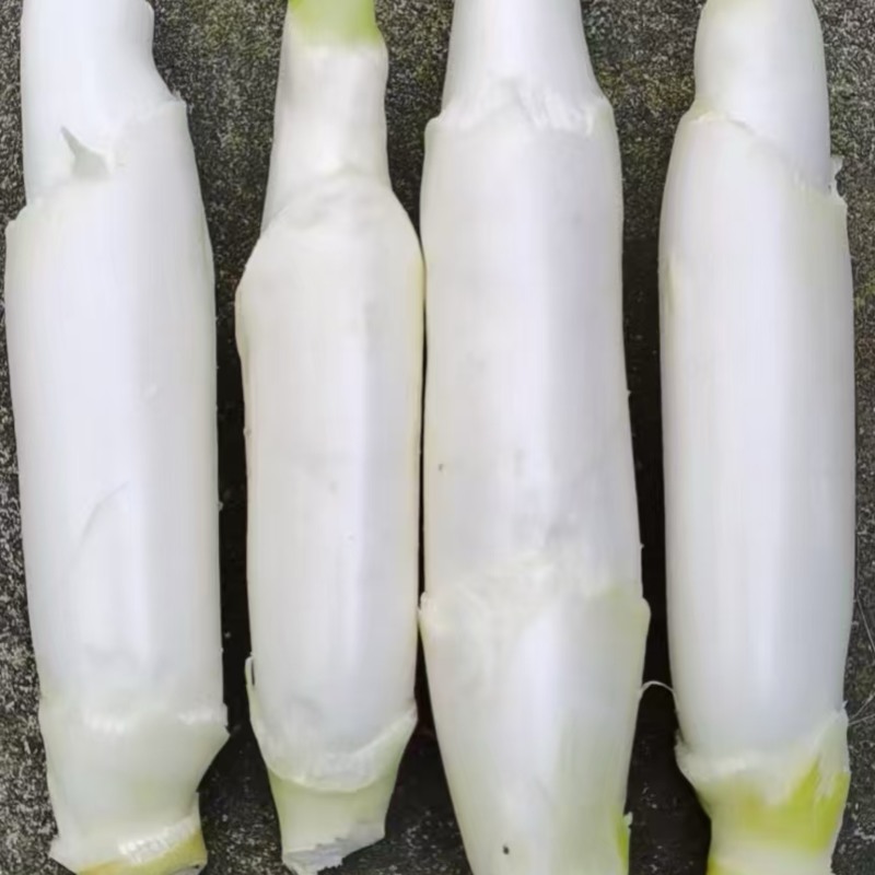 刚刚上市浙江磐安精品美人茭白农户直发