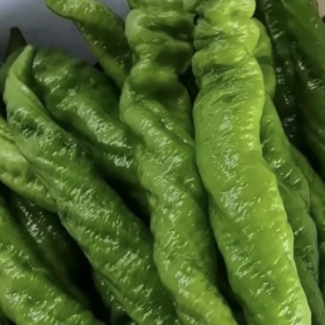 螺丝椒