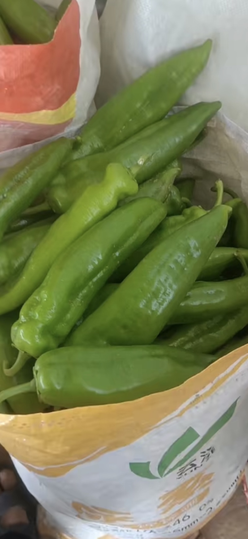 螺丝椒