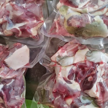 500克肉一只甲鱼去皮去油砍好真空包装