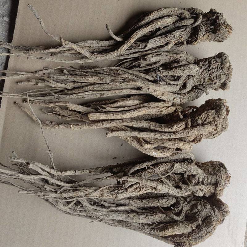 岷县无硫当归本色大条