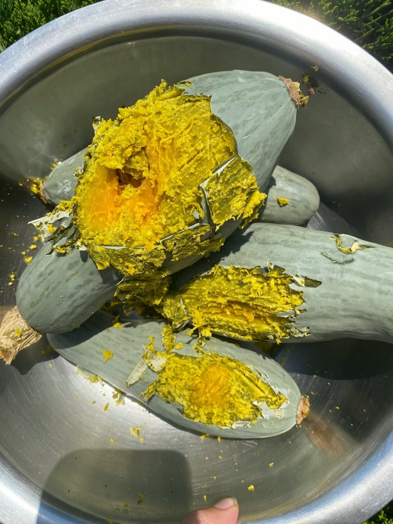 糖化好的白贵族一级货量大价格可谈