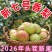 《推荐》陕西新梨七号基地直发保质保量现摘现发对接全国