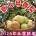 《推荐》陕西新梨七号基地直发保质保量现摘现发对接全国