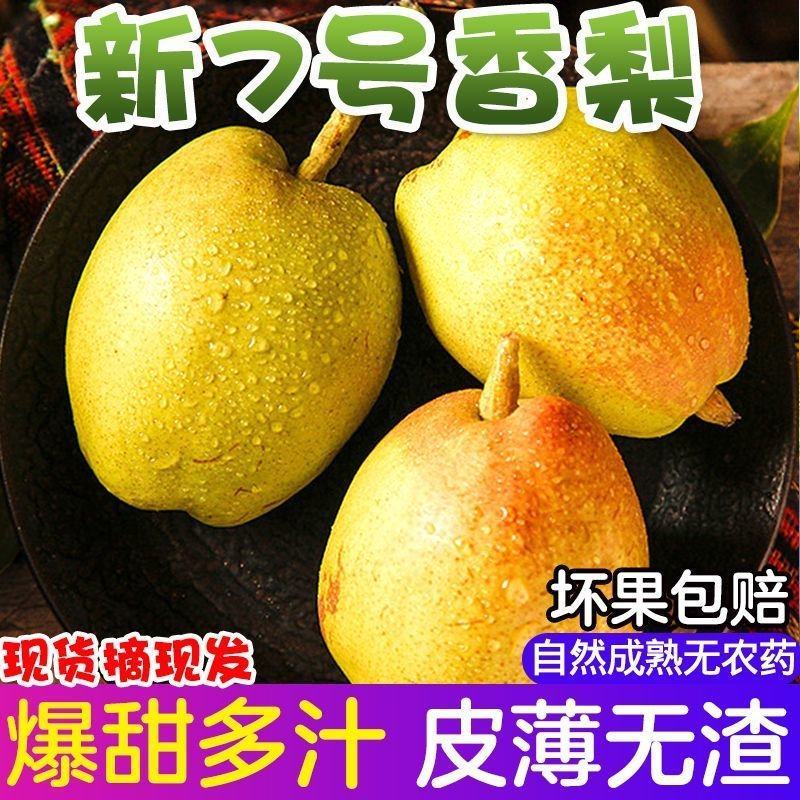 《实力》陕西新梨七号对接商超市场批发全国发货保质保量