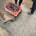 山东临沂市费县，藤仁巨峰，阳光玫瑰品种齐全