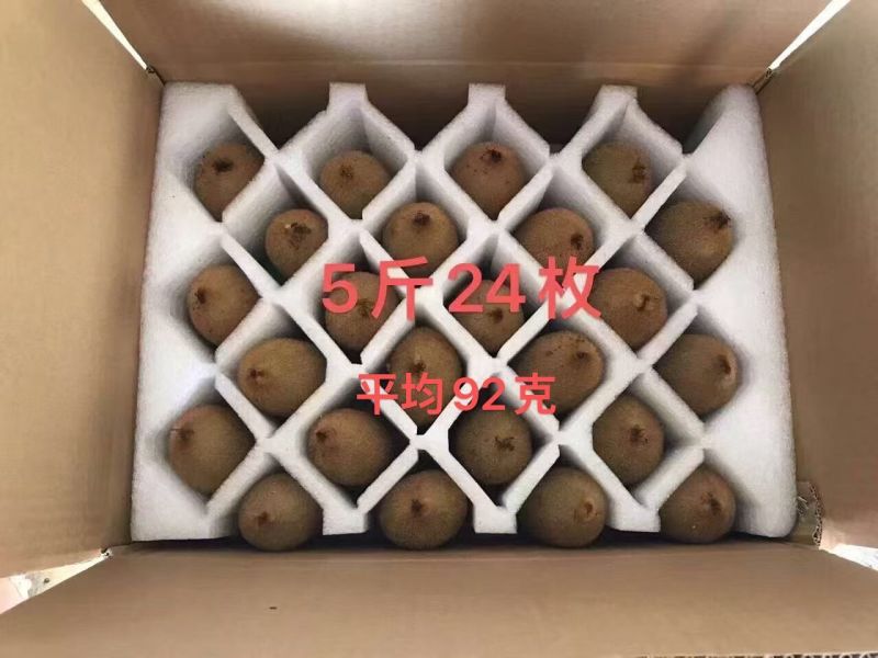 徐香猕猴桃纯甜对接直播团购平台一件代发包邮