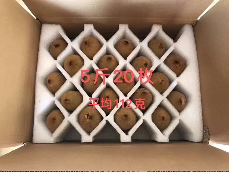 徐香猕猴桃纯甜对接直播团购平台一件代发包邮