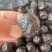 乌梅地摊电商批发乌梅干新疆特产乌梅干话梅蜜饯散装凉果