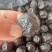乌梅地摊电商批发乌梅干新疆特产乌梅干话梅蜜饯散装凉果