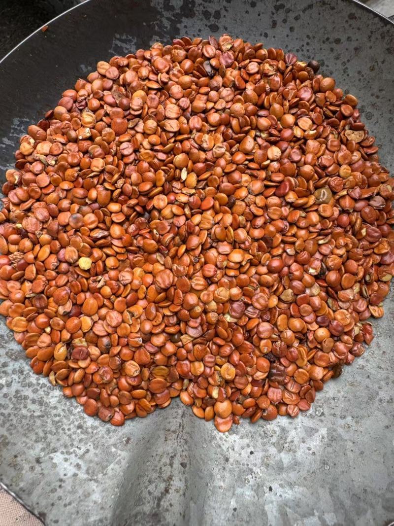 枣仁无破碎零差评新货颜色漂亮百万销量广州店