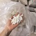 茯苓云苓中心丁10公斤一件百万销量广州店十年口碑