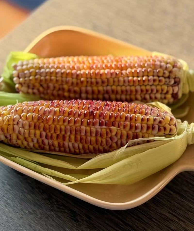璎珞红#鲜食水果玉米，全年稳定供应，可全国发货
