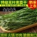 安徽涡阳正宗精品贡菜苔干农家直供自然晾晒***火锅凉拌串
