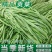 安徽涡阳正宗精品贡菜苔干农家直供自然晾晒***火锅凉拌串
