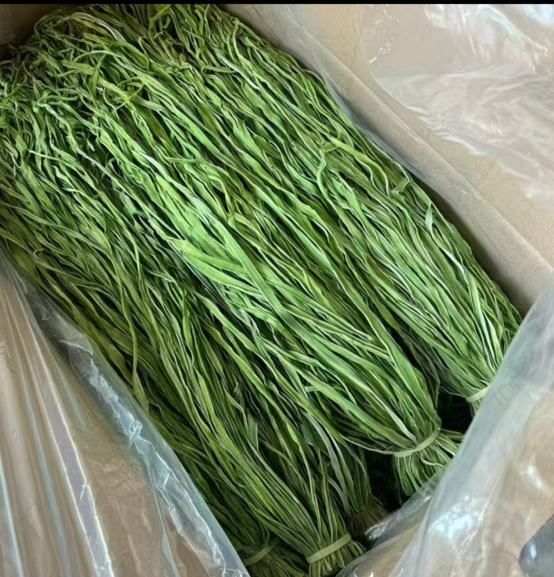 安徽涡阳正宗精品贡菜苔干农家直供自然晾晒***火锅凉拌串