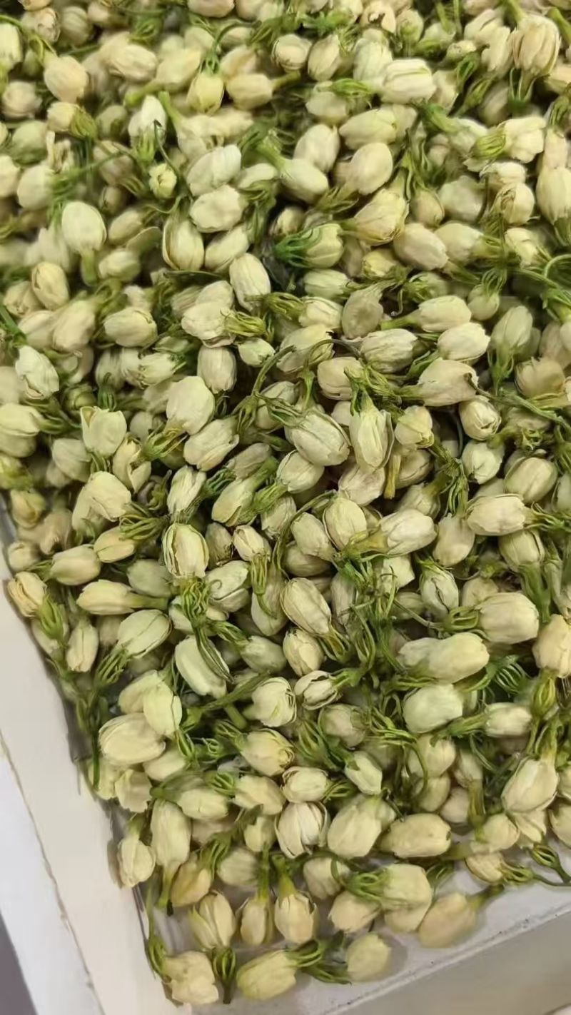 茉莉花干