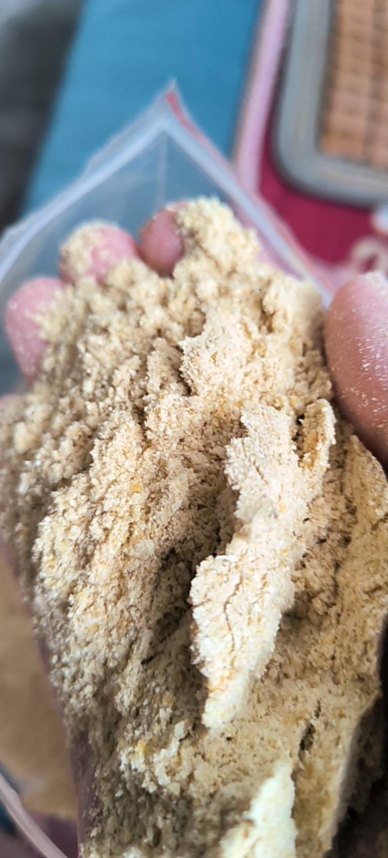 优质玉米面