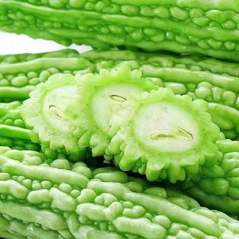 山东油绿苦瓜价格美丽质量好对接全国量大从优欢迎选购