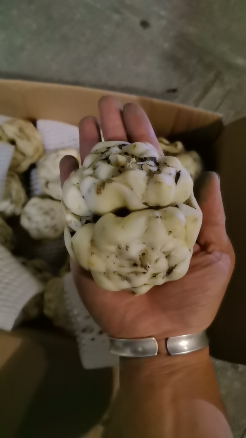 诚信2-5两货