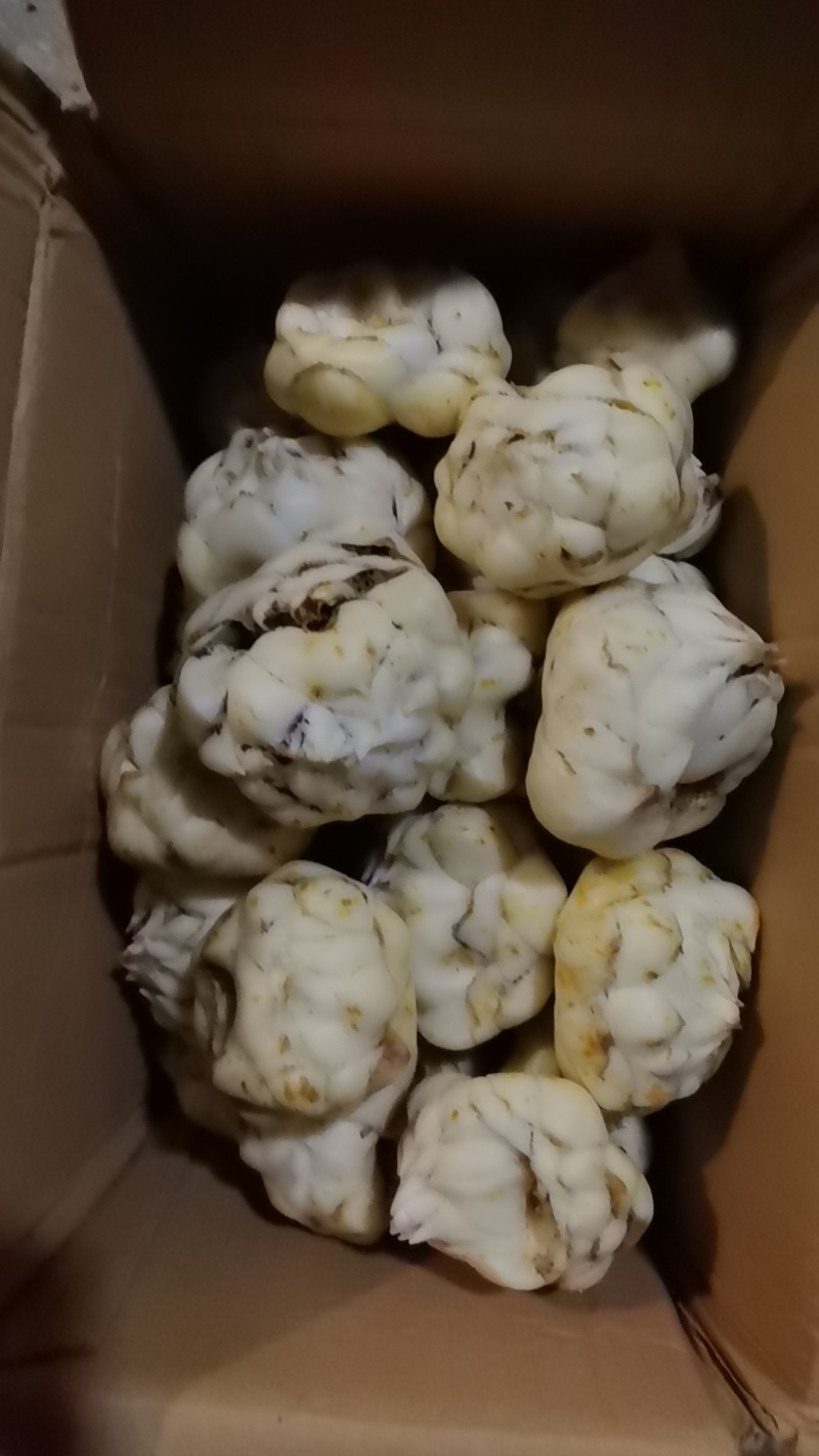 诚信2-5两货