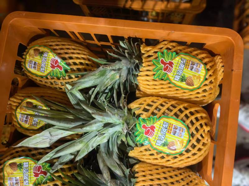【推荐】金钻凤梨云南凤梨产地一手货源对接全国