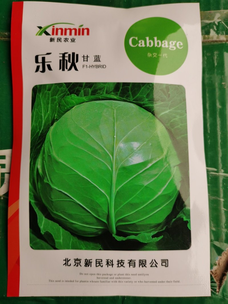 乐秋暄甘蓝华耐春秋绿耐热甘蓝种子亮绿球丰产品质