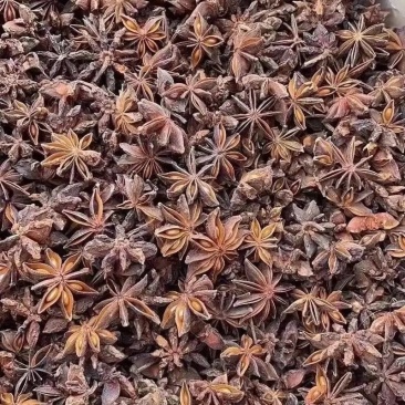 云南大红八角